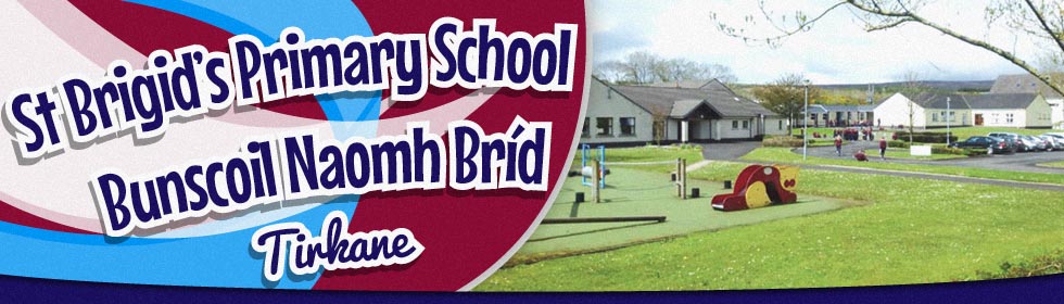 Killyhommon Primary School, Boho, Enniskillen